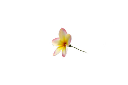 Foam Plumeria Stem Flower - Pink/Yellow