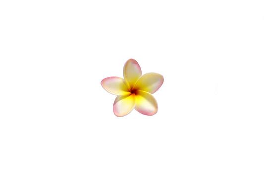 Foam Plumeria Stem Flower - Pink/Yellow