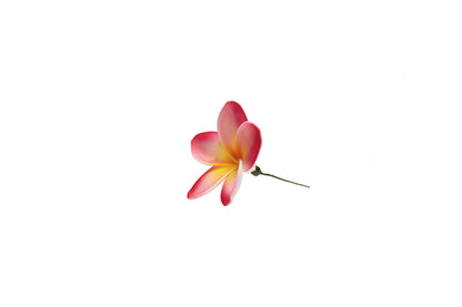 Foam Plumeria Stem Flower - Pink/Yellow