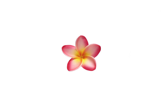 Foam Plumeria Stem Flower - Pink/Yellow