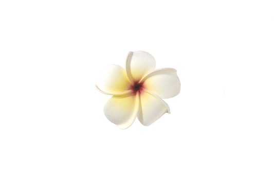 Foam Plumeria Stem Flower - Soft Yellow/Red