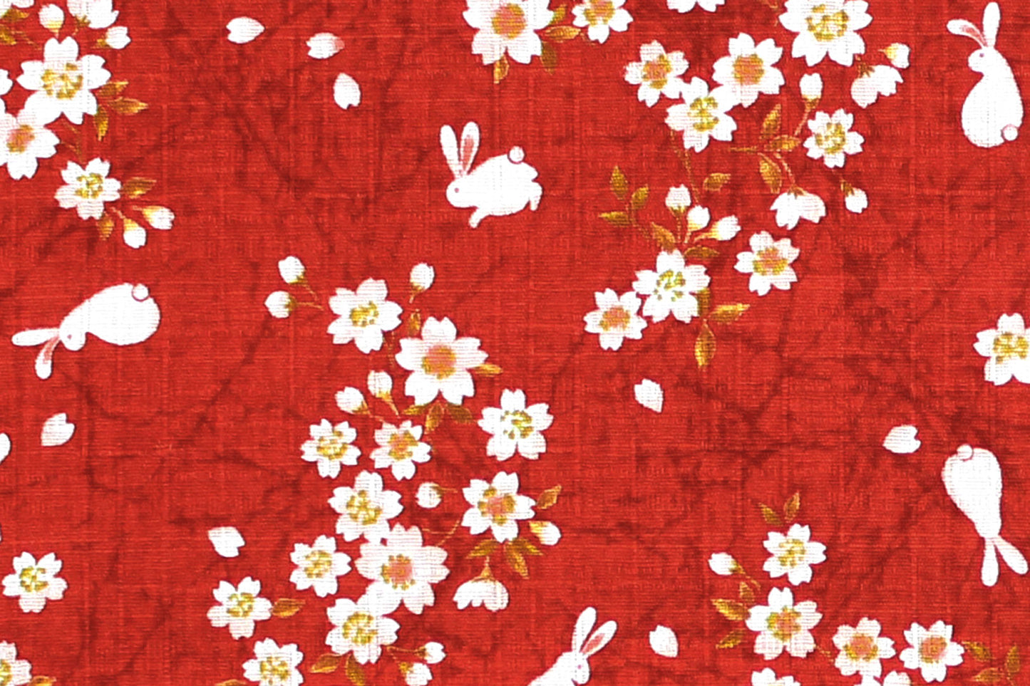JP0004 Red