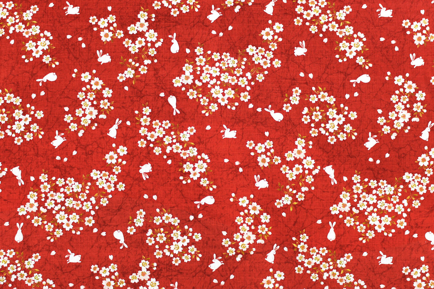 JP0004 Red