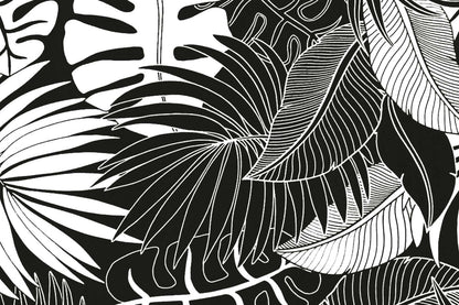 PAA0001 Black