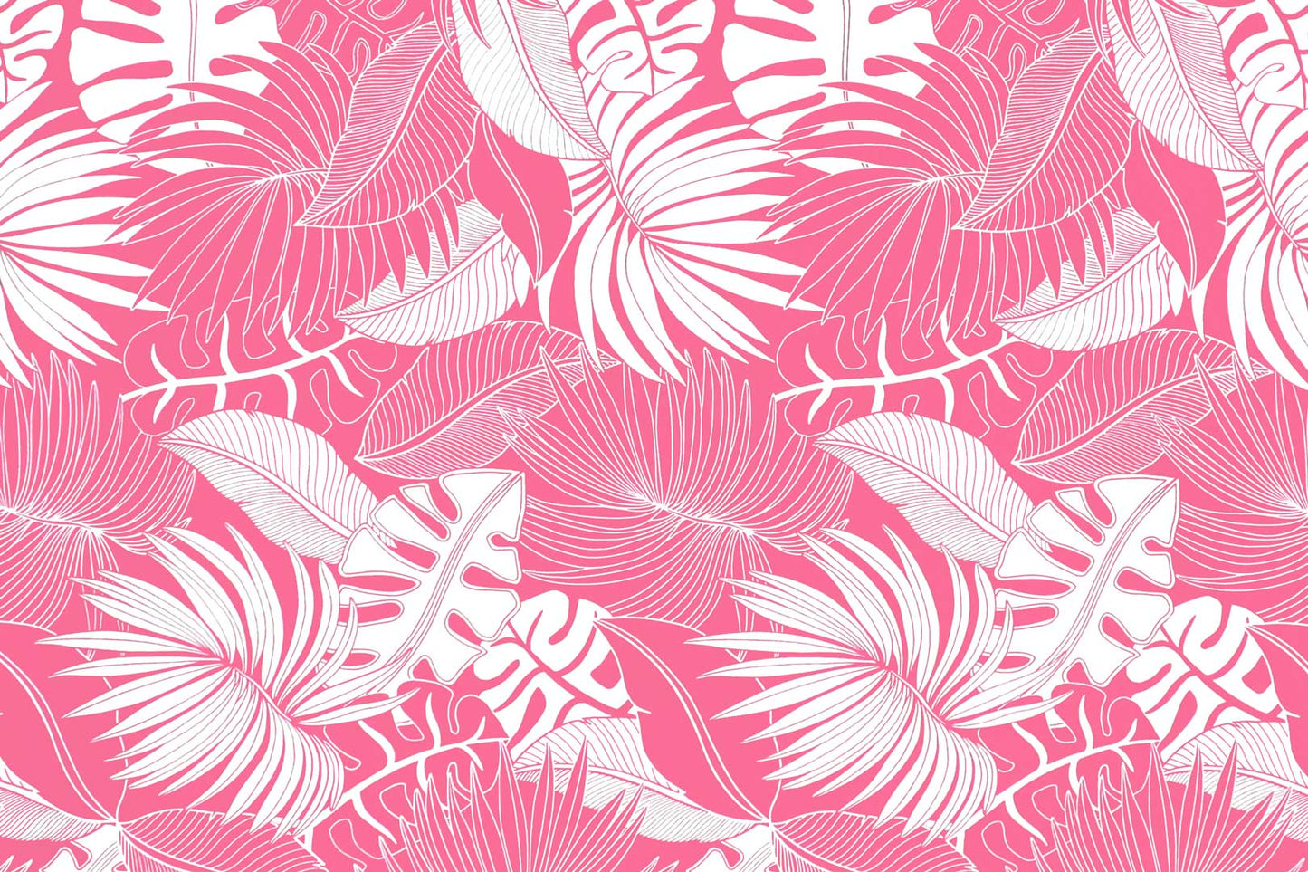 PAA0001 Fuchsia