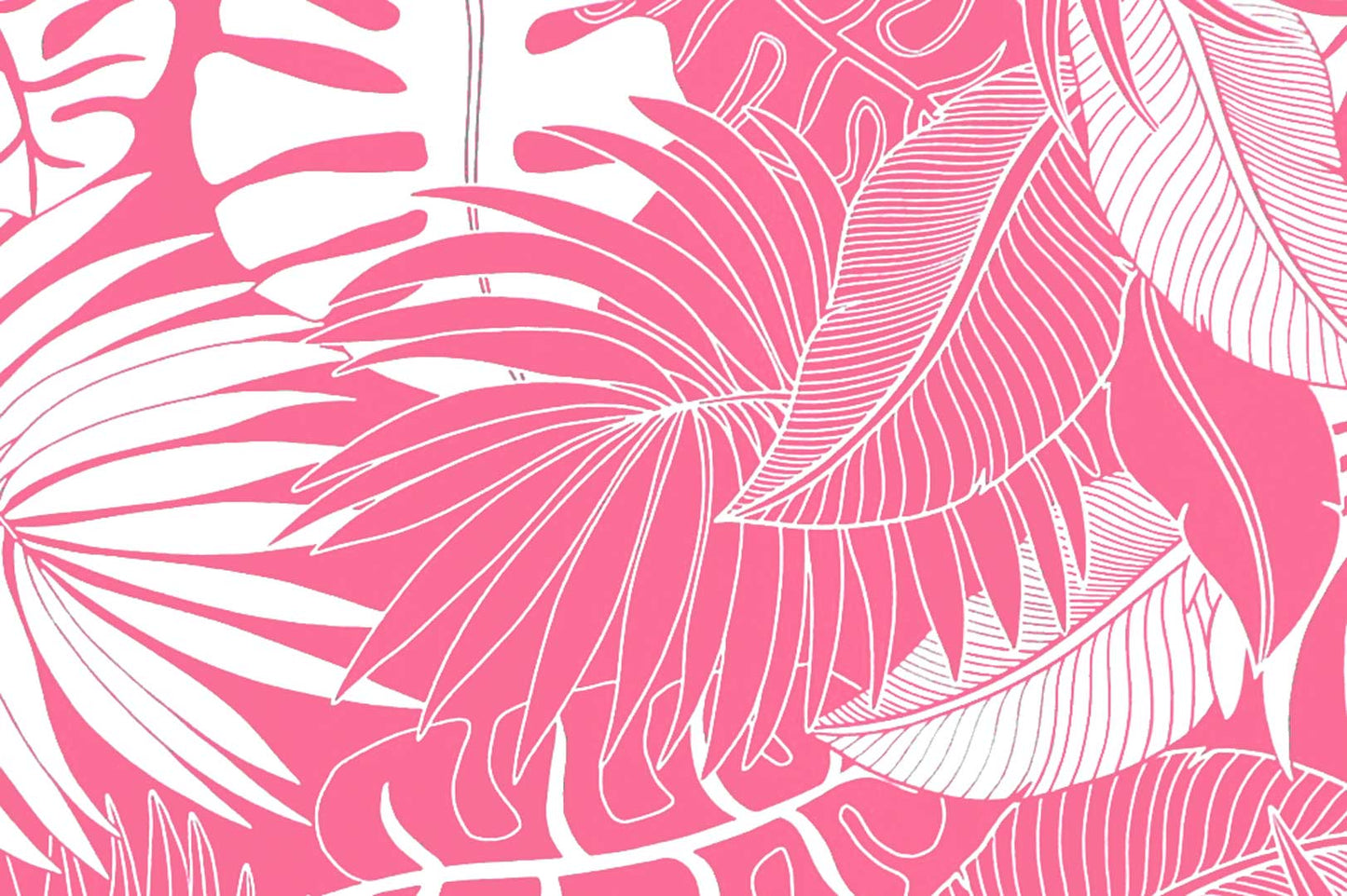 PAA0001 Fuchsia