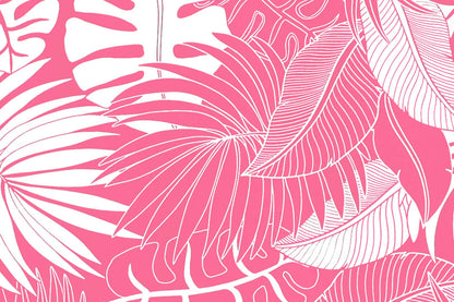 PAA0001 Fuchsia