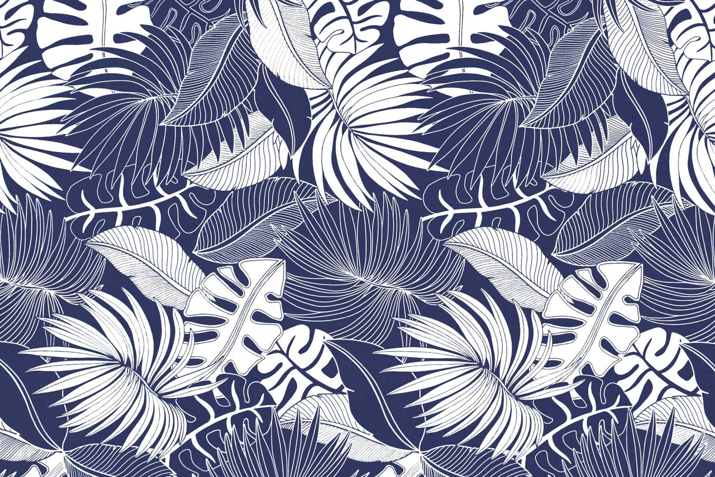 PAA0001 Navy