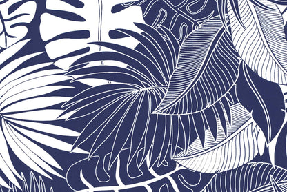 PAA0001 Navy