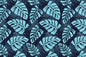 PAA0002 Teal