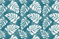 PAA0002 Teal