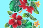PBB0001 Turquoise