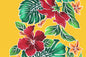 PBB0001 Yellow