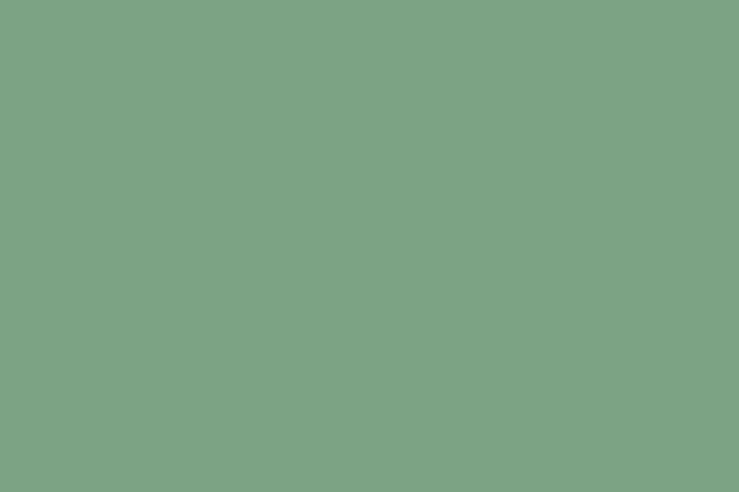 Solid Cotton Ivy