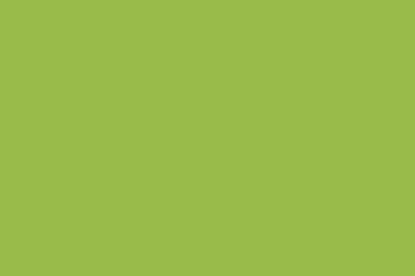 Solid Cotton Lime