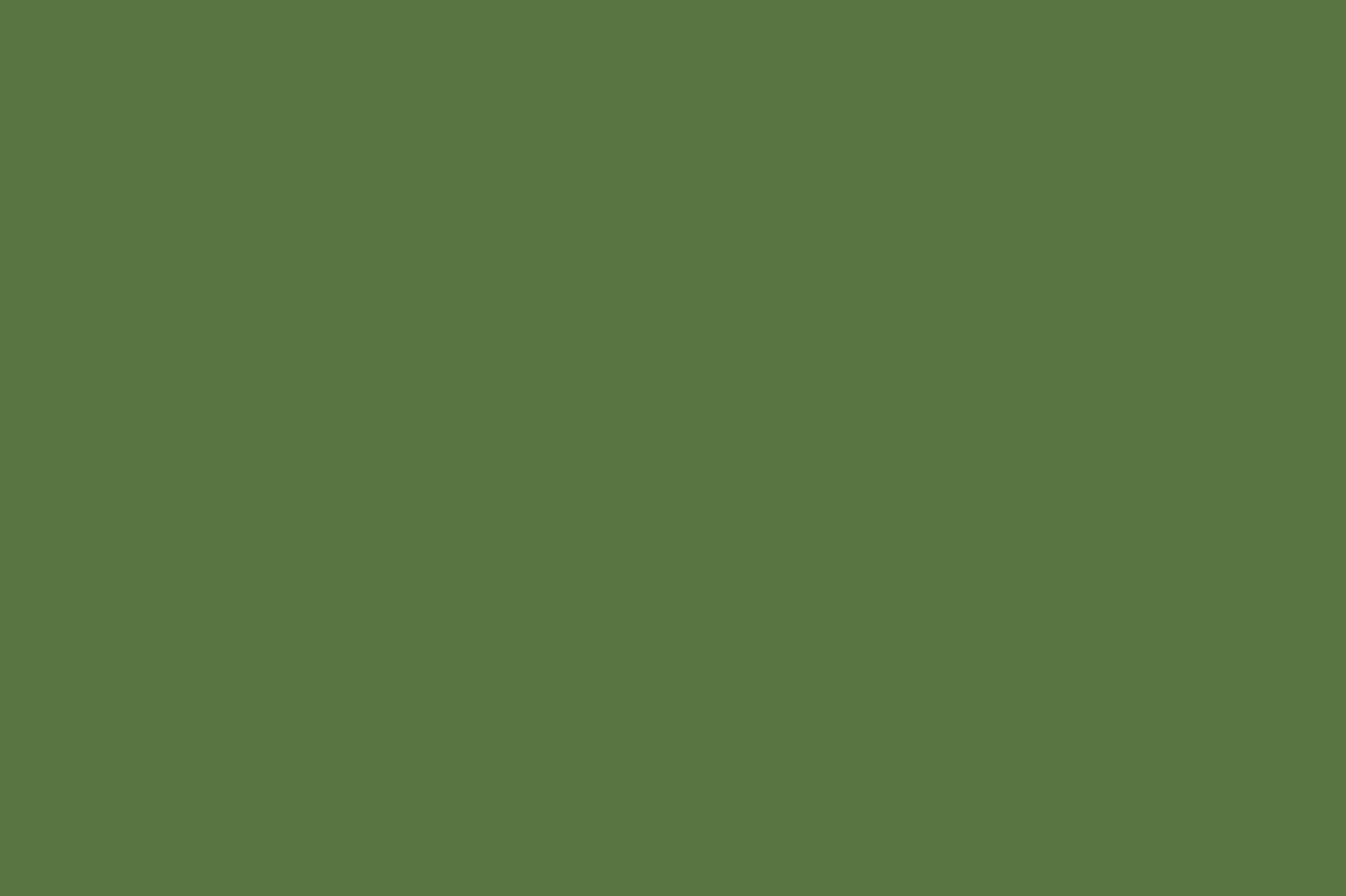 Solid Cotton Loden Green