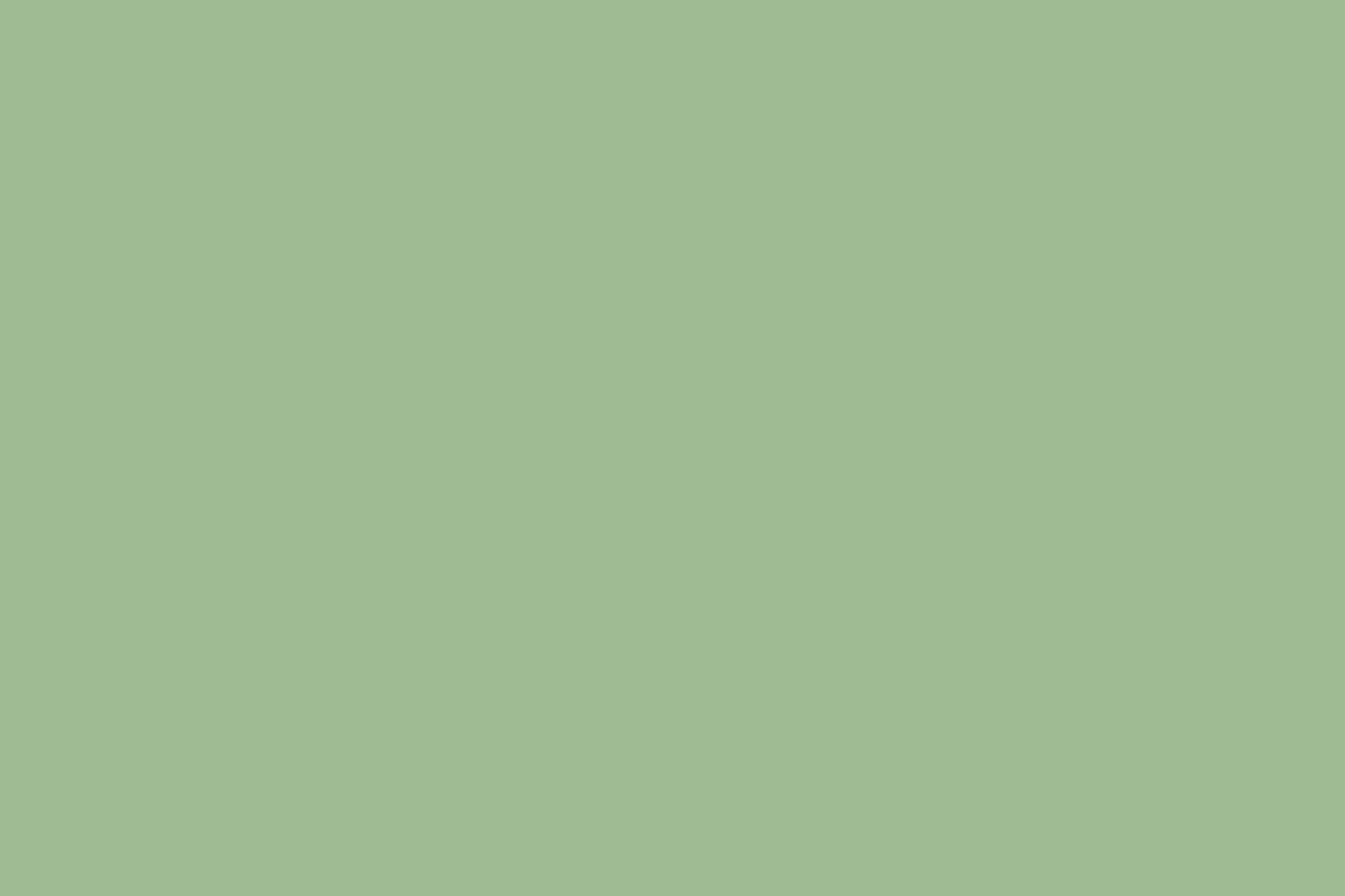 Solid Cotton Sage