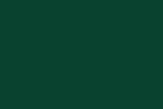 Solid Cotton Dark Green